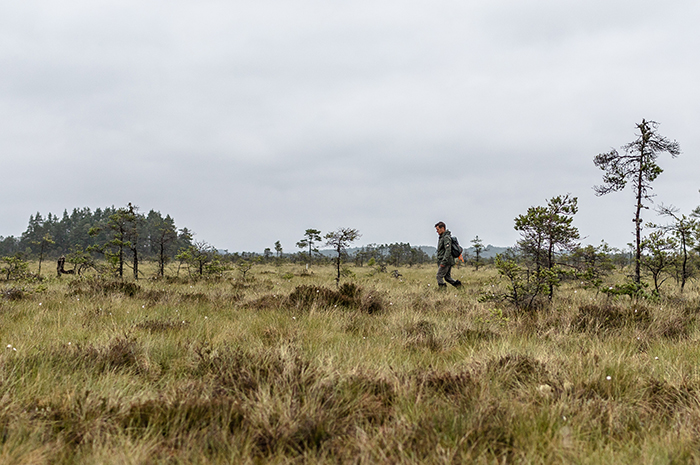 Vandring på Store Mosse nationalpark