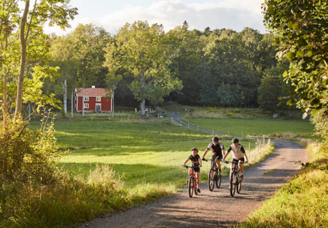 Cyklister i Småland